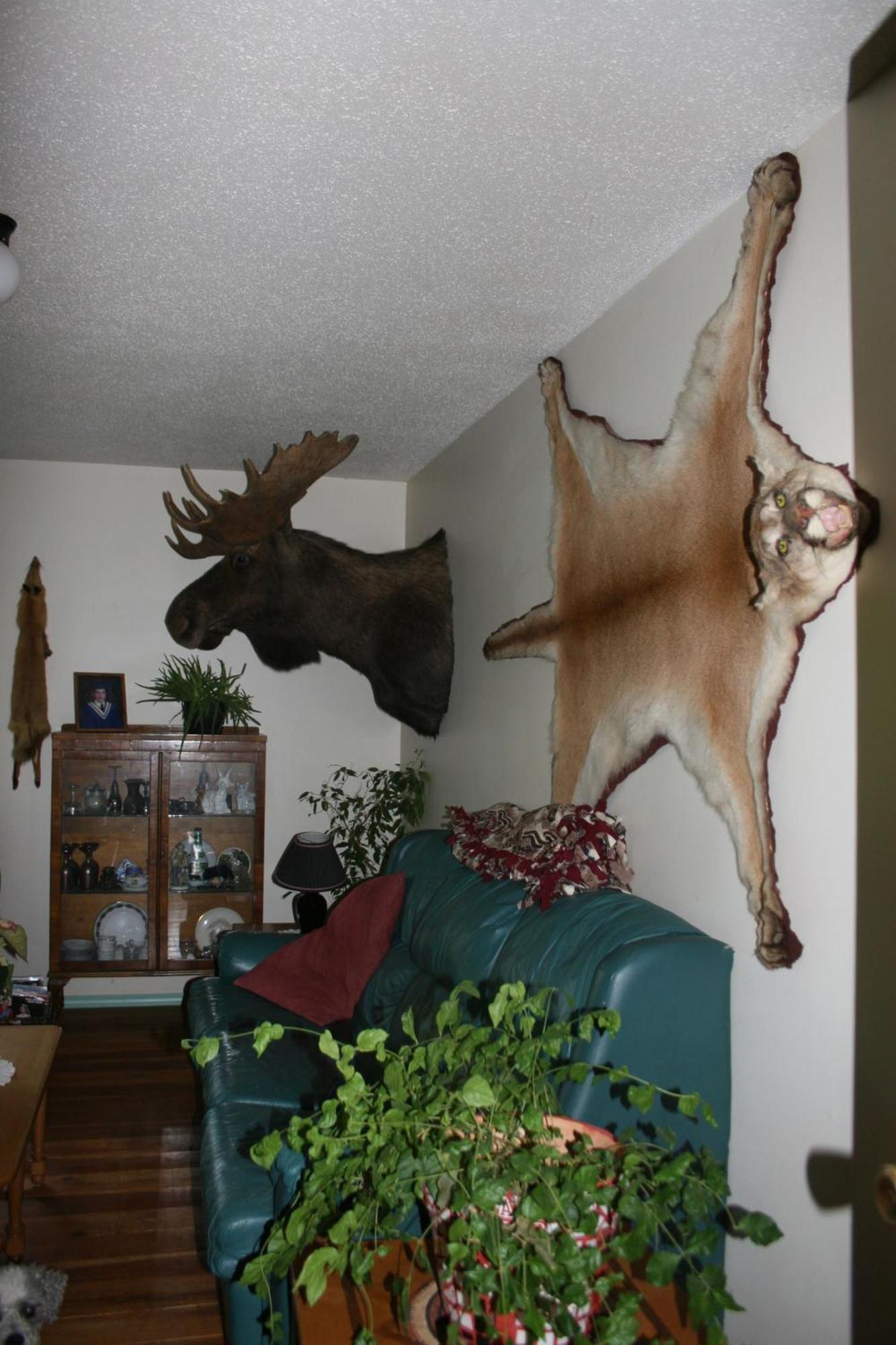 Dunphy'S Bed And Breakfast Parson Eksteriør bilde