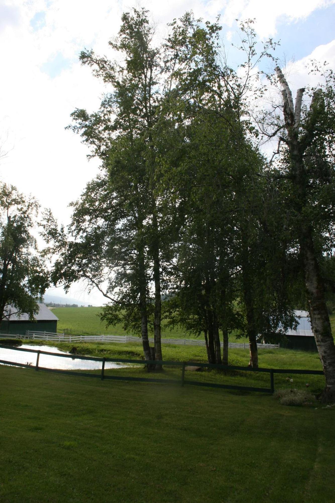 Dunphy'S Bed And Breakfast Parson Eksteriør bilde